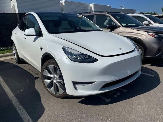 TESLA MODEL Y 2021 5YJYGDEE7MF187772 image